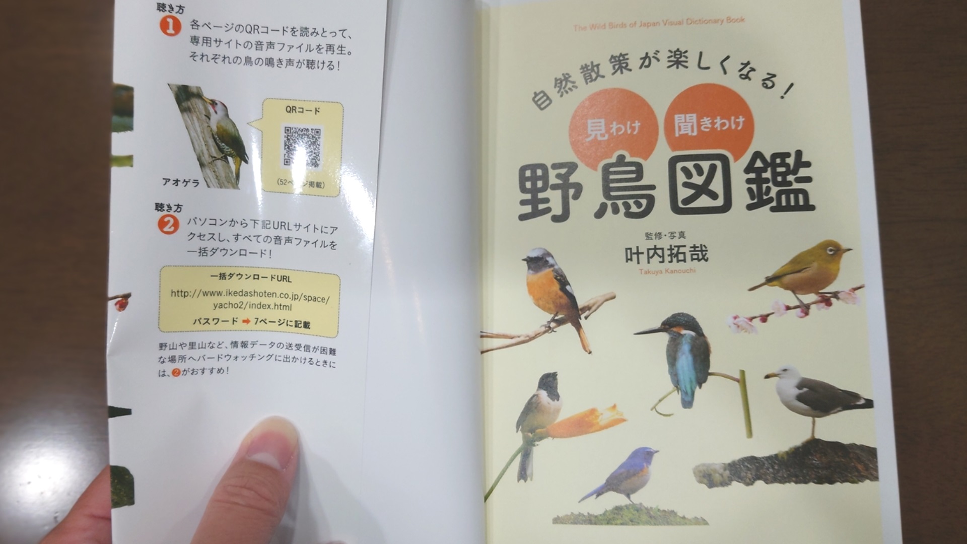 鳥の鳴き声解説がついていて、QRコードを読み込めばすぐに鳴き声を聞くことができます。
身近な野鳥も多く載っているので、子どもだけでなく大人も楽しめます！